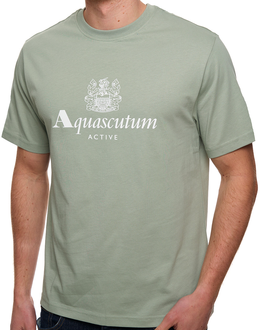 Aquascutum T-Shirt mit großem Logo, Salvia
