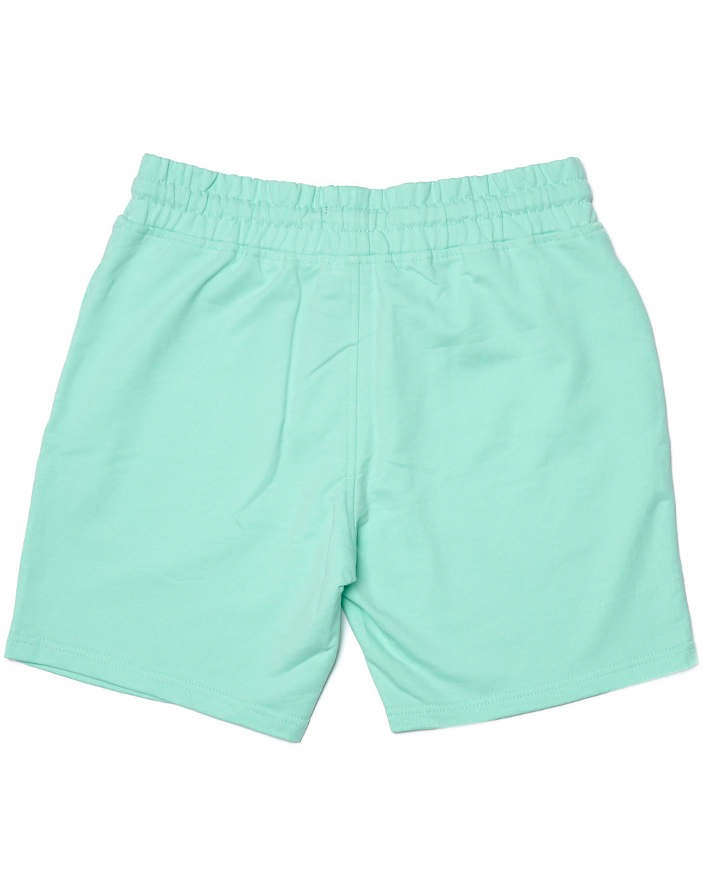Marshall Artist Delta Print Logo Shorts Mint