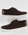 Lacoste Sevrin Suedette Boat Shoes Dark Brown