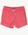 Lacoste Linear Logo Swim Shorts Grenadine