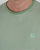 Pretty Green Striped Feeder T-shirt Light Green