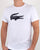 Lacoste Croc Print T Shirt White/navy