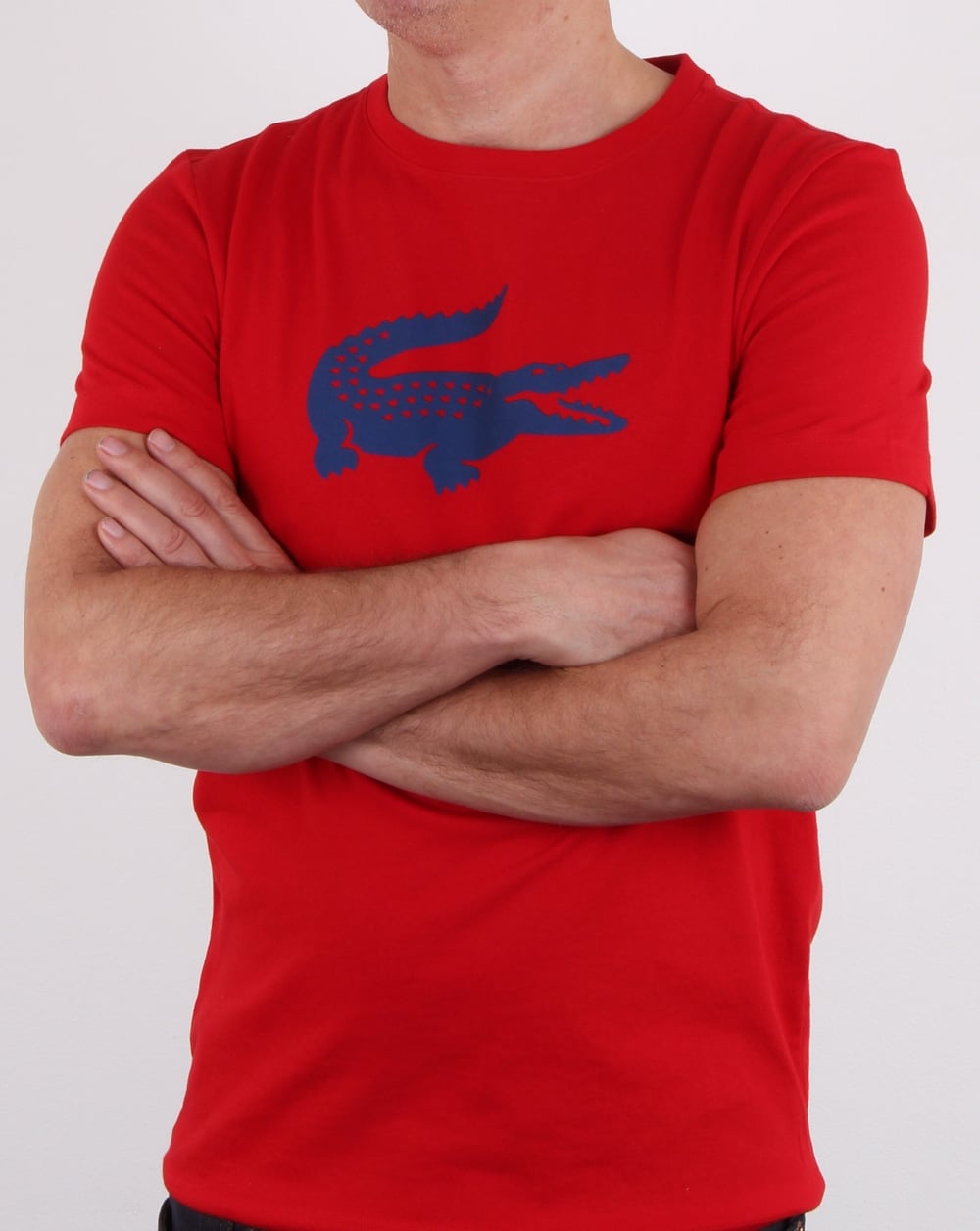 Lacoste T-Shirt mit Kroko-Print Rot/Marino