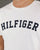 Tommy Hilfiger Text Logo T Shirt White