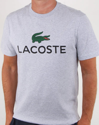Lacoste Logo T-Shirt Silber Chine
