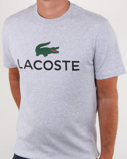 Lacoste Logo T-Shirt Silber Chine
