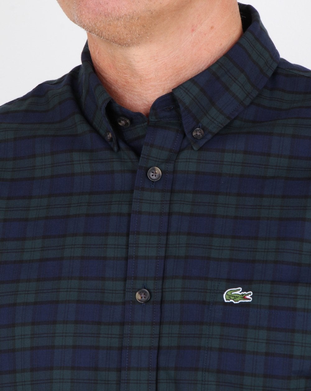 Lacoste Langarmhemd Sinople Grün/Meridian Blau