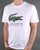 Lacoste Logo T-shirt White