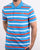 Lacoste Striped Polo Shirt Blue/White