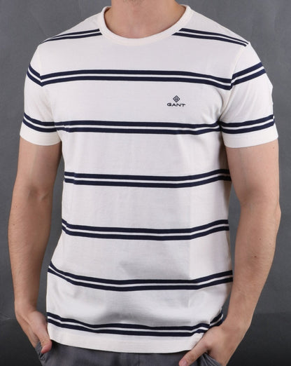 Gant Heavy Jersey Gestreiftes T-Shirt Grau Melange