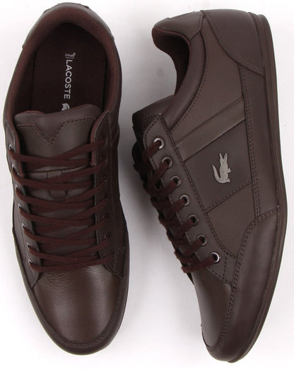 Lacoste Chaymon Trainer Dunkelbraun