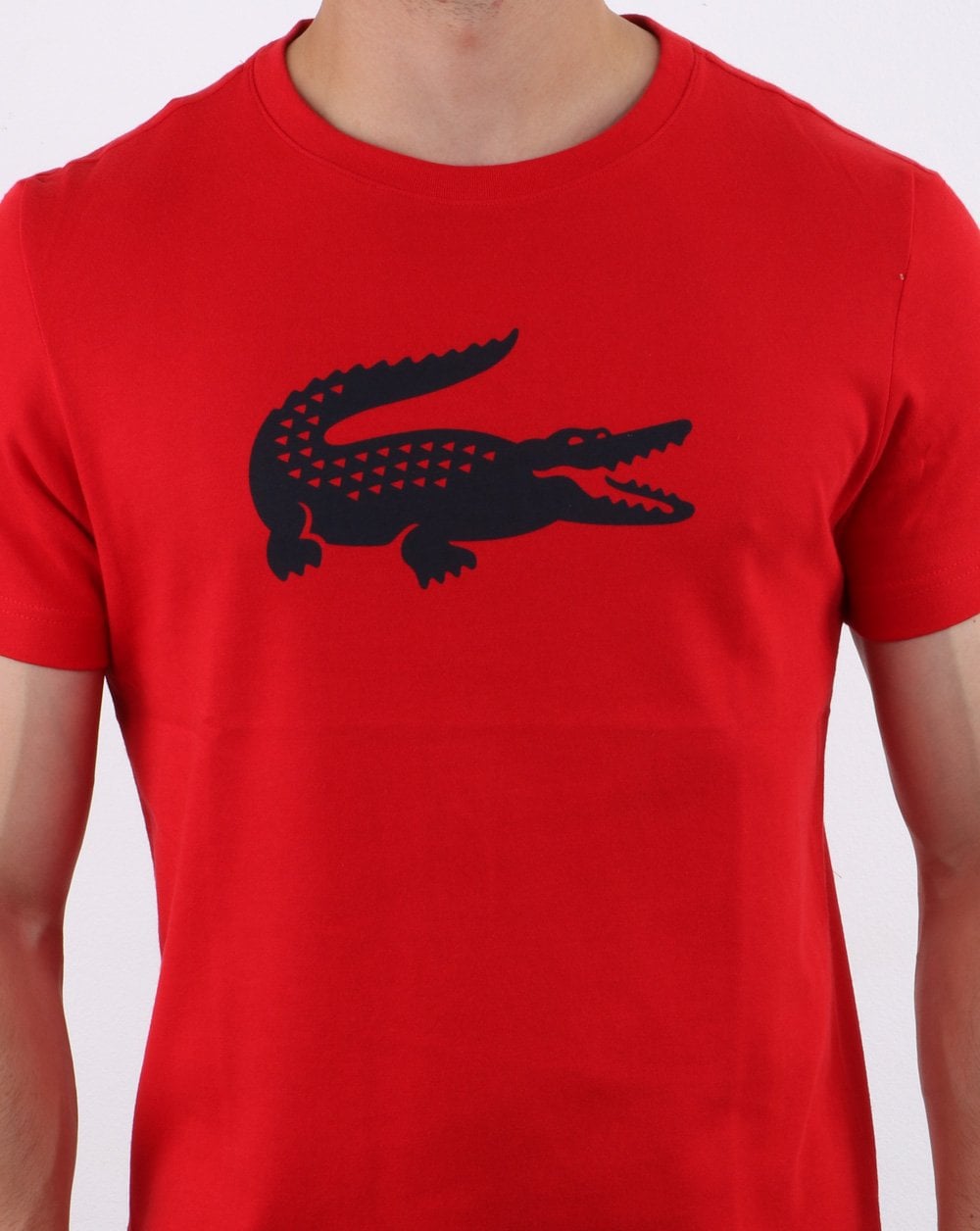 Lacoste – T-Shirt mit Krokodil-Print, Rot/Marineblau