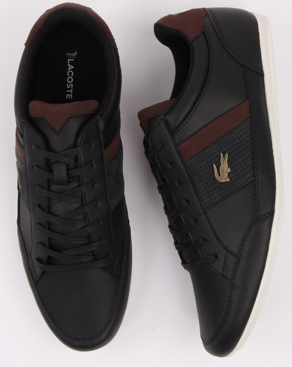 Lacoste Footwear Chaymon Trainer Black/Brown