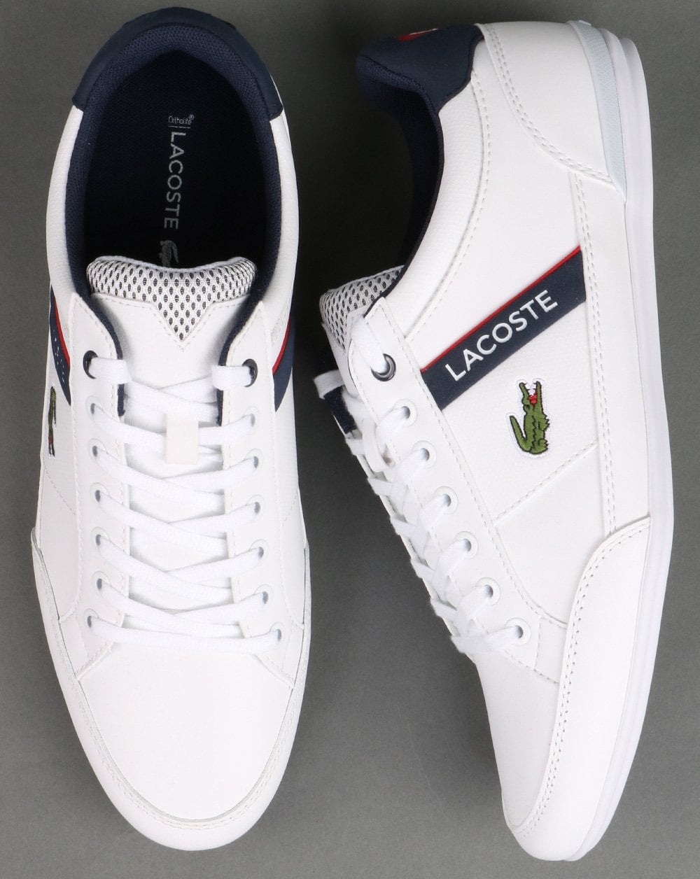 Lacoste Chaymon Trainer White/navy/red