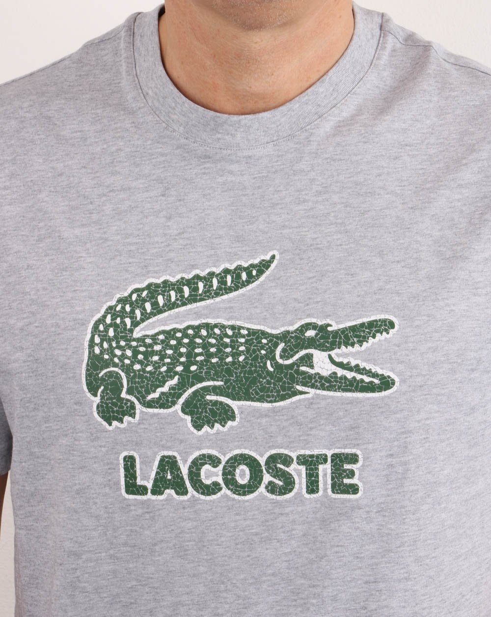 Lacoste – T-Shirt mit rissigem Logo in Silber