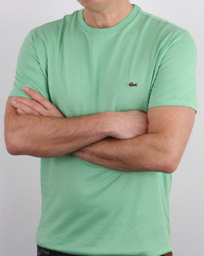 Lacoste – T-Shirt mit Rundhalsausschnitt, Minze