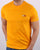 Tommy Jeans Chest Logo T-shirt Florida Orange