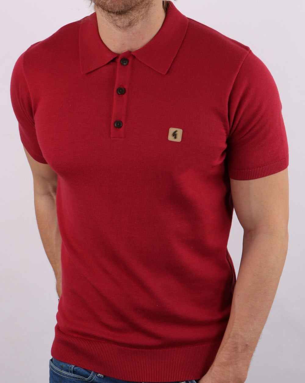 Gabicci Vintage Jackson Polo Tayberry