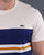 Lacoste Colourblock T-shirt Cream/Navy