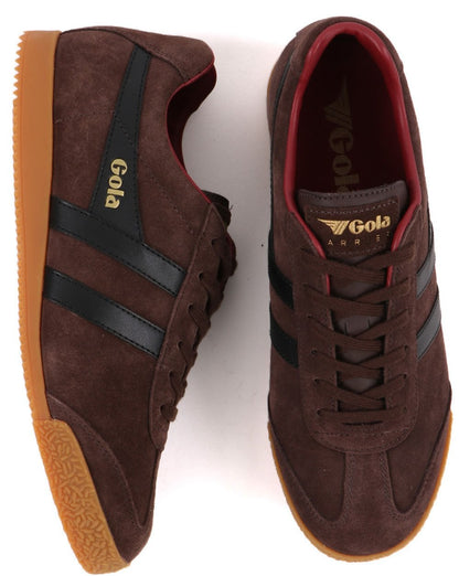 Gola Harrier Wildleder-Sneaker Dunkelbraun/Schwarz/Dunkelrot