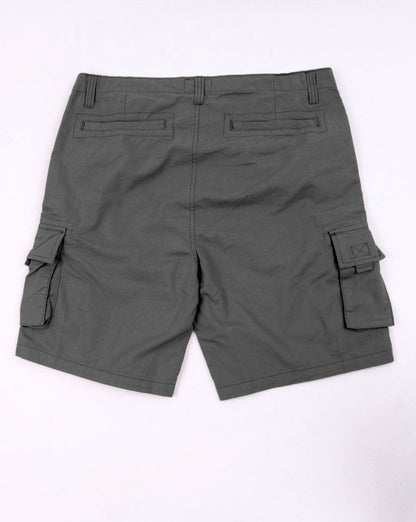 Weekend Offender Cargo-Shorts in Schatten