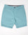 Tommy Jeans Scanton Chino Shorts Blue