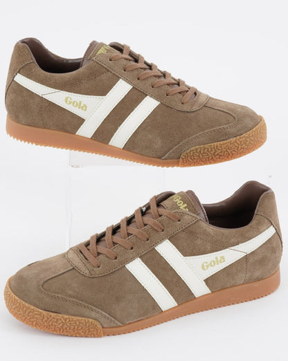 Gola Harrier Wildleder-Sneaker Tabak/Off-White