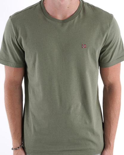 Napapijri Salis T-Shirt Grün