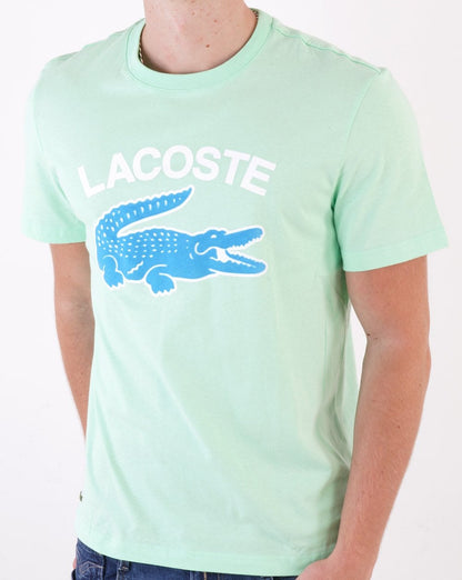 Lacoste Logo T-Shirt Aschgrau