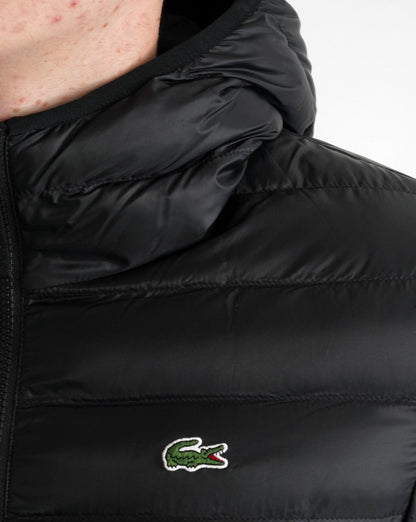 Lacoste Steppjacke mit Kapuze Schwarz