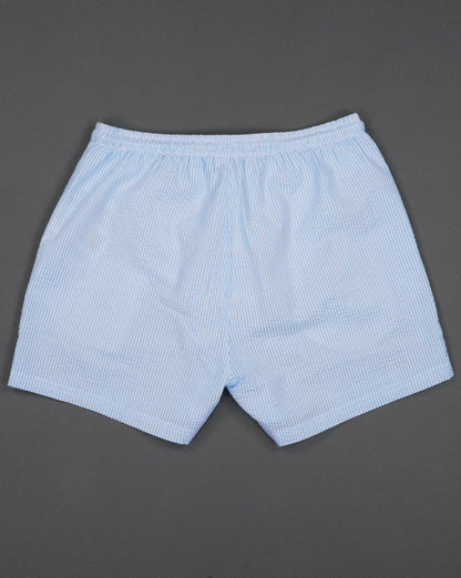 Ellesse – Carali – Gestreifte Badeshorts, Himmelblau