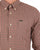 Barbour Gingham Tailored Shirt Ecru