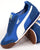 Puma Roma OG Nylon Trainer Royal Blue/White