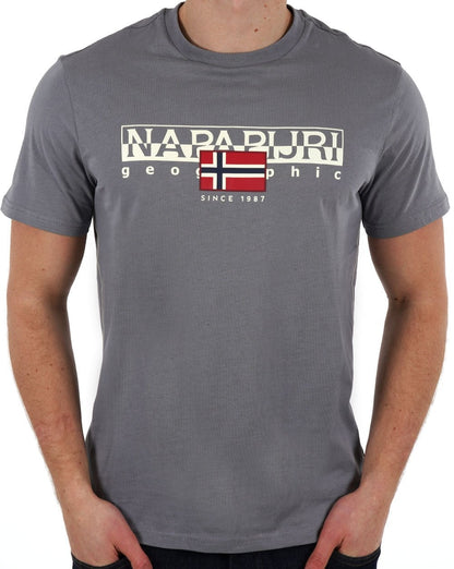 Napapijri Aylmer T-Shirt Grau