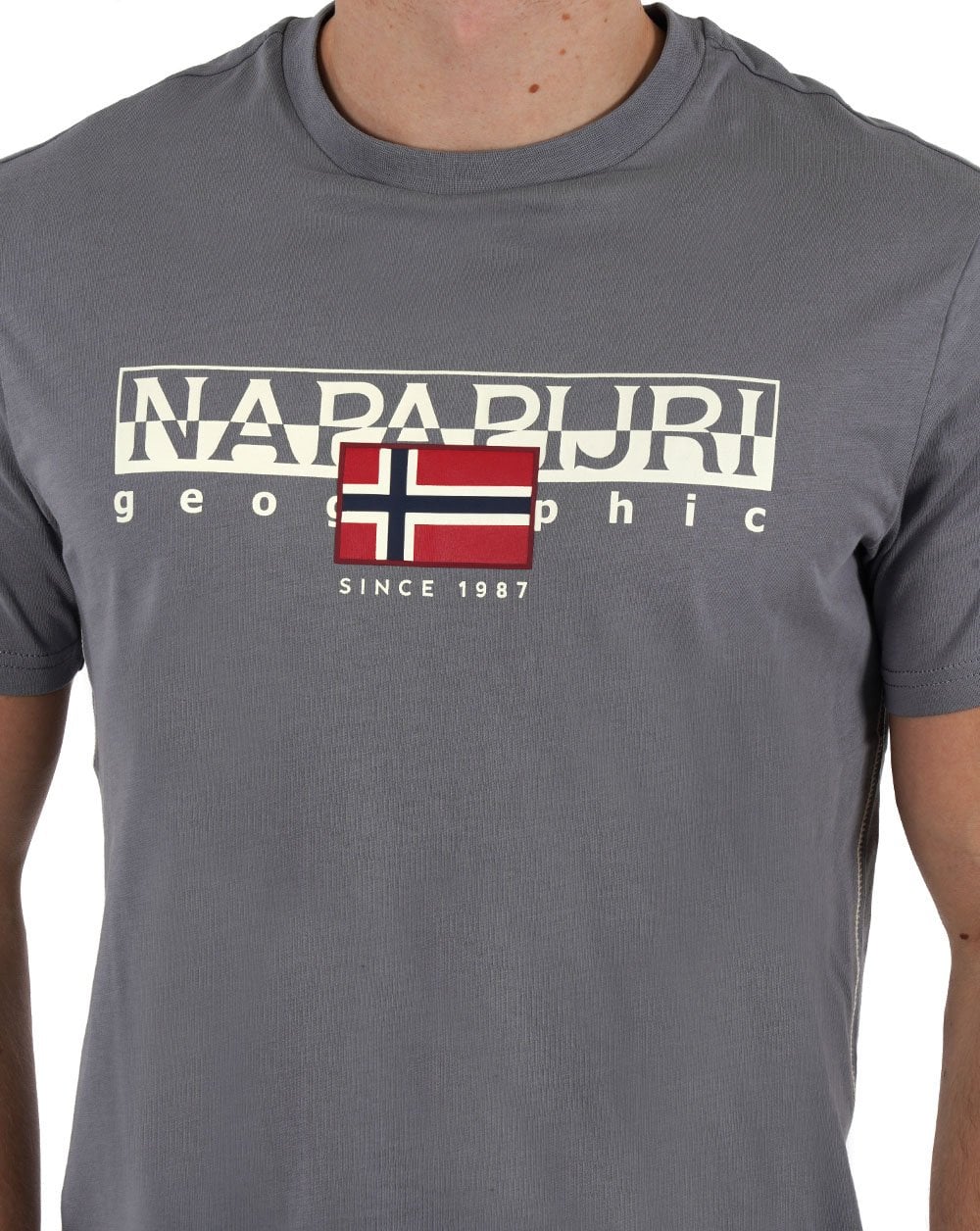 Napapijri Aylmer T-Shirt Grau