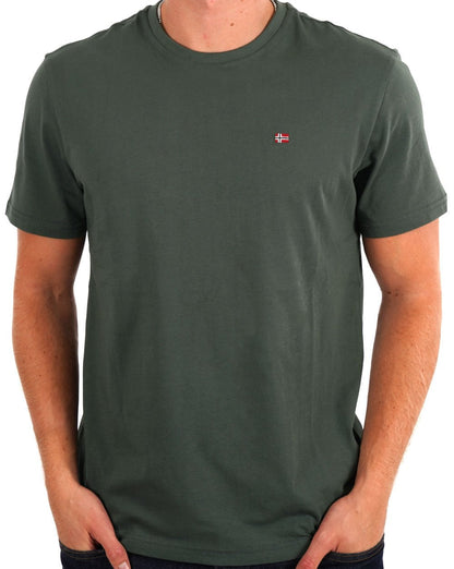 Napapijri Salis T-Shirt Grün Urban