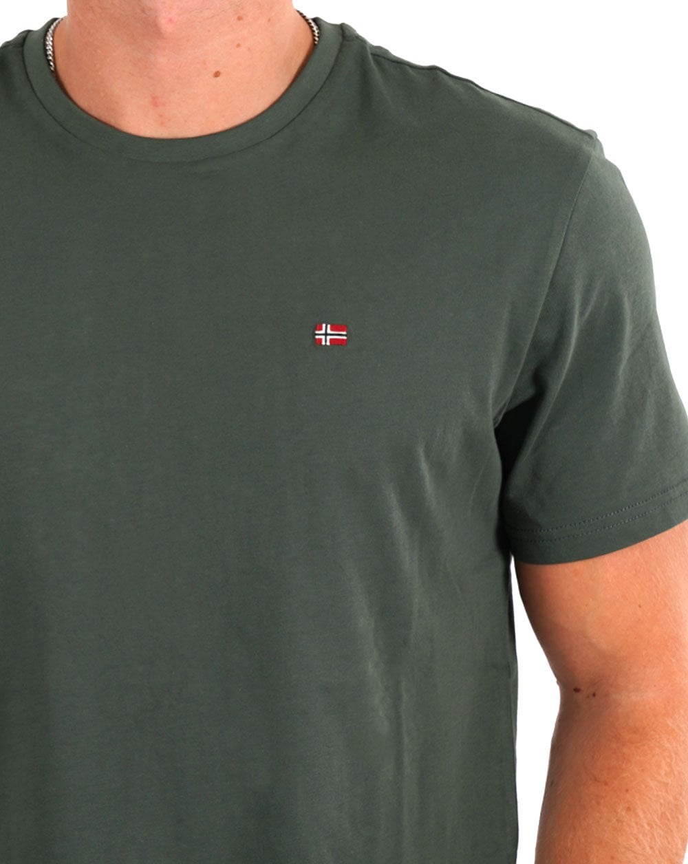 Napapijri Salis T-Shirt Grün Urban