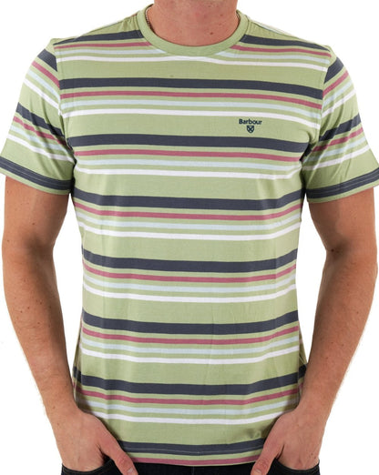 Barbour – Houstead – Gestreiftes T-Shirt in blassem Apfel