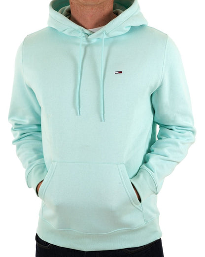 Tommy Jeans – Kapuzenpullover mit Flaggenaufnäher, Frühlingsminze