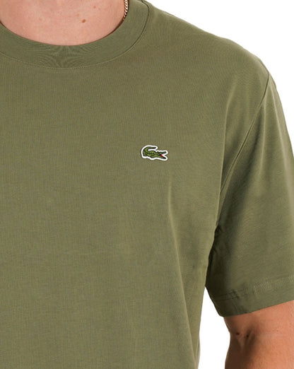 Lacoste – T-Shirt mit klassischer Passform, Khakigrün