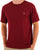 Gant Printed Archive Shield T Shirt Plumped Red