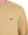 Lacoste Brushed Cotton Sweatshirt Sand