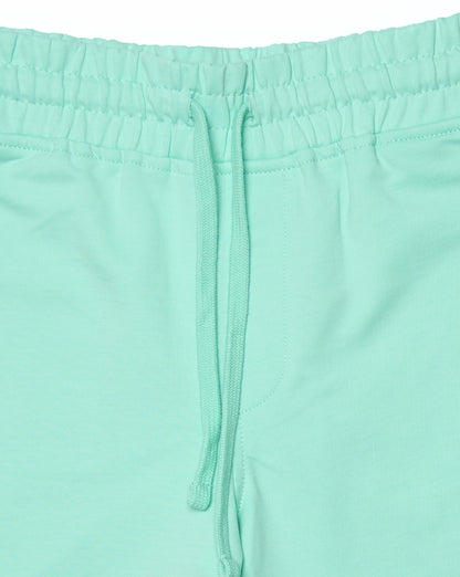 Marshall Artist Delta Print Logo Shorts Mint