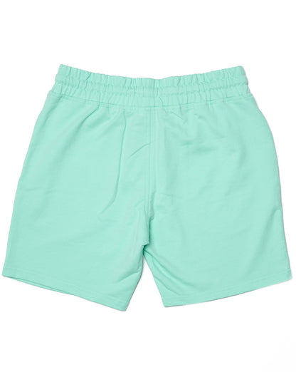 Marshall Artist Delta Print Logo Shorts Mint