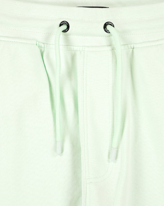Weekend Offender Weekend Offender Nor'easter Cargo Shorts Amazonite