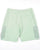 Weekend Offender Nor'easter Cargo Shorts Amazonite